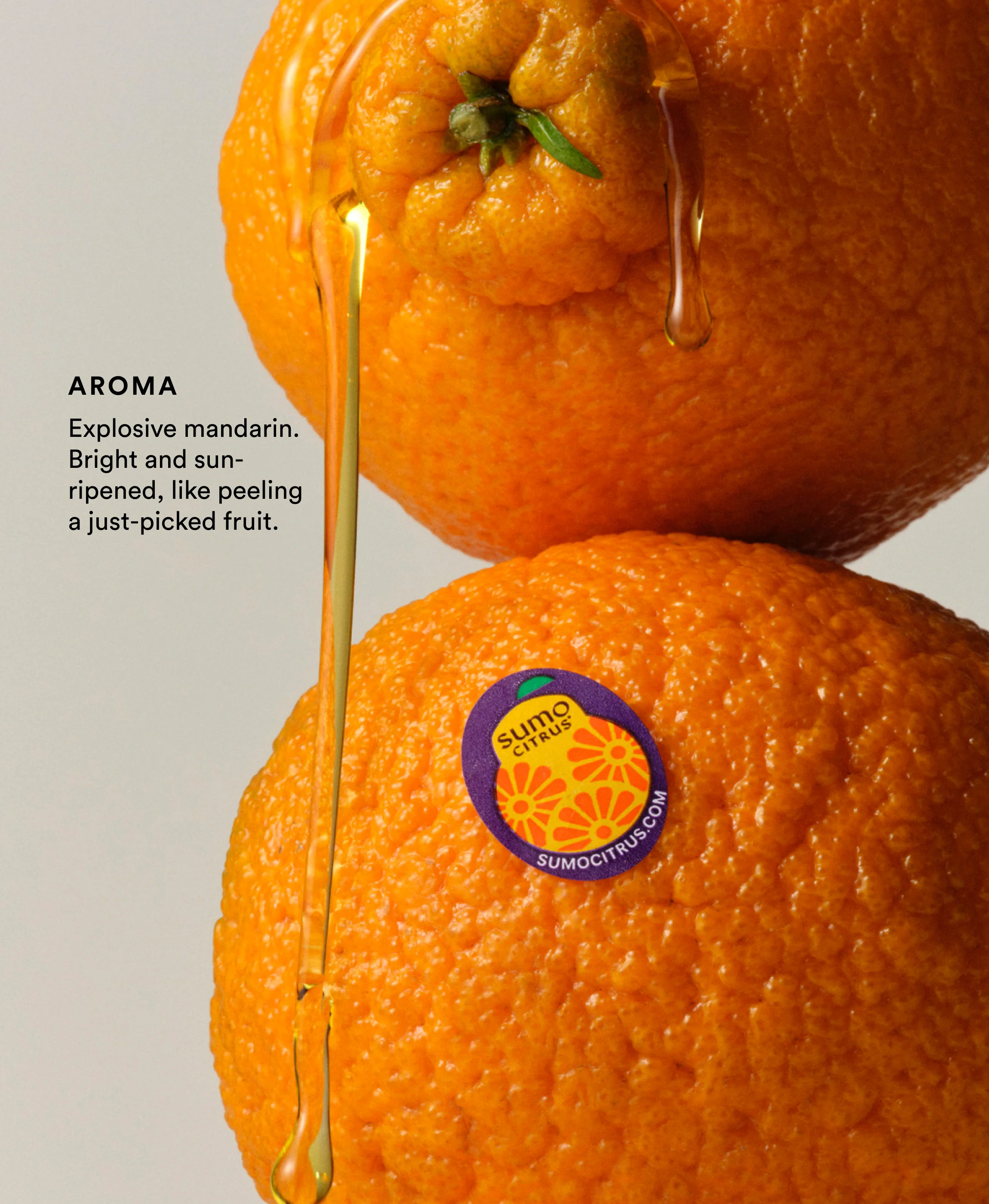 Sumo Citrus Flavored Olive Oil - Image 3