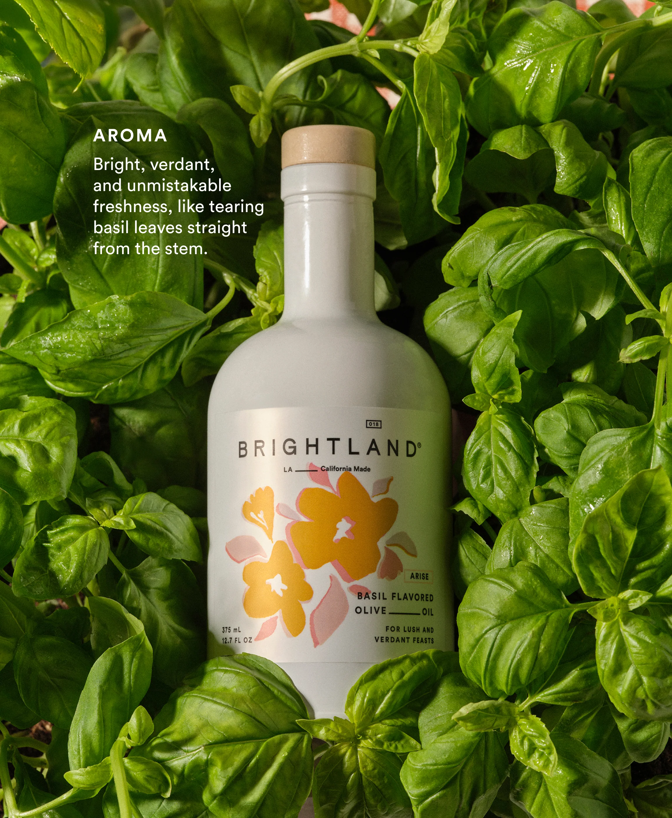 The Spring Flavor Duo - Image 5