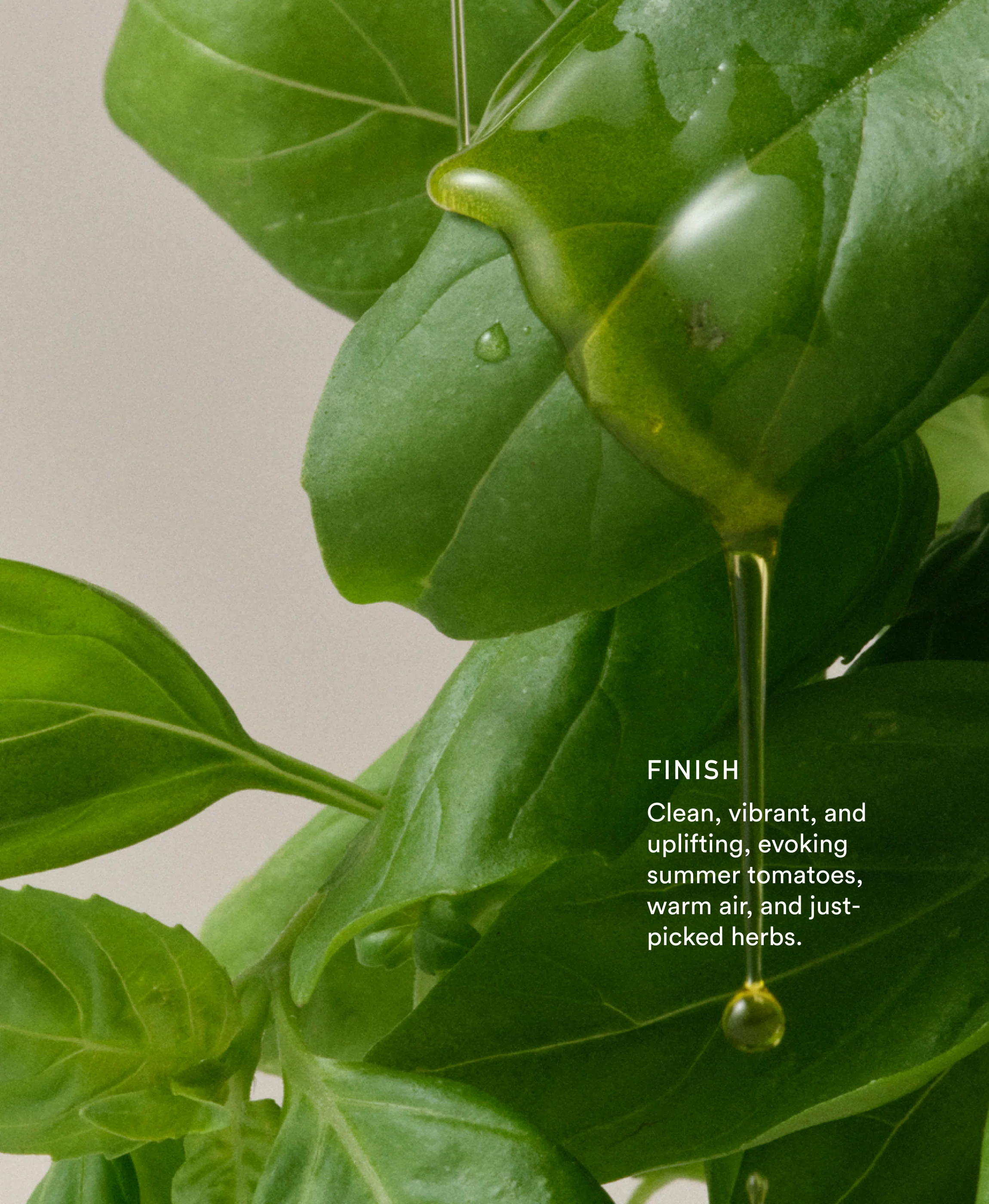 The Spring Flavor Duo - Image 6